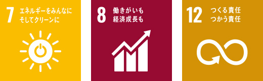 7 エネルギーをみんなにそしてクリーンに 8 働きがいも経済成長も 12 つくる責任 つかう責任